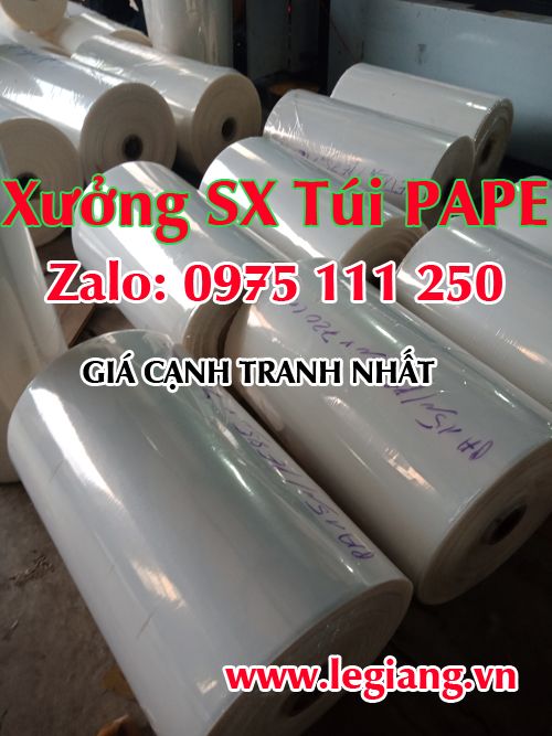 Xưởng Sản Xuất Túi PAPE Giá Rẻ